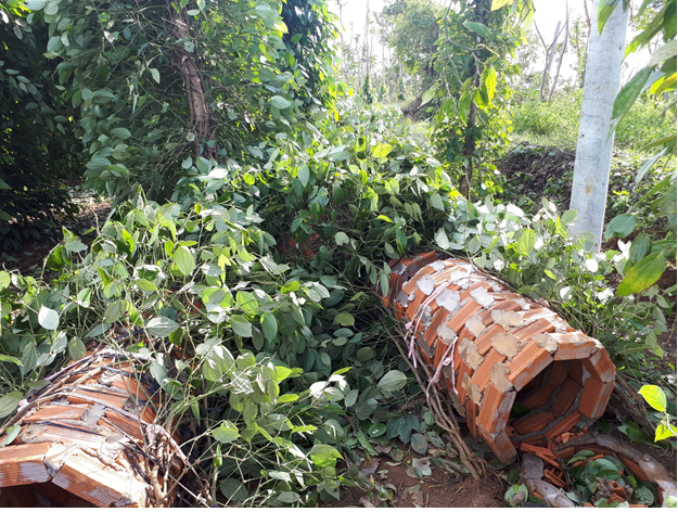 Người dân xã Ea Lai, huyện M’Drắk đang tập trung khắc phục hậu quả sau cơn bão số 12