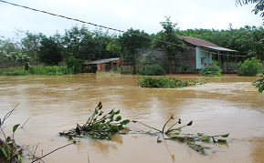 Tình hình mưa lũ trên địa bàn huyện M’Drắk