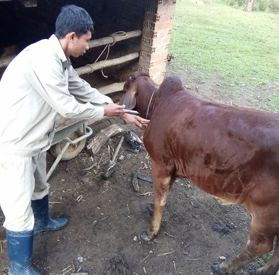 Thực trạng công tác thú y cấp xã trên địa bàn huyện M'Drắk