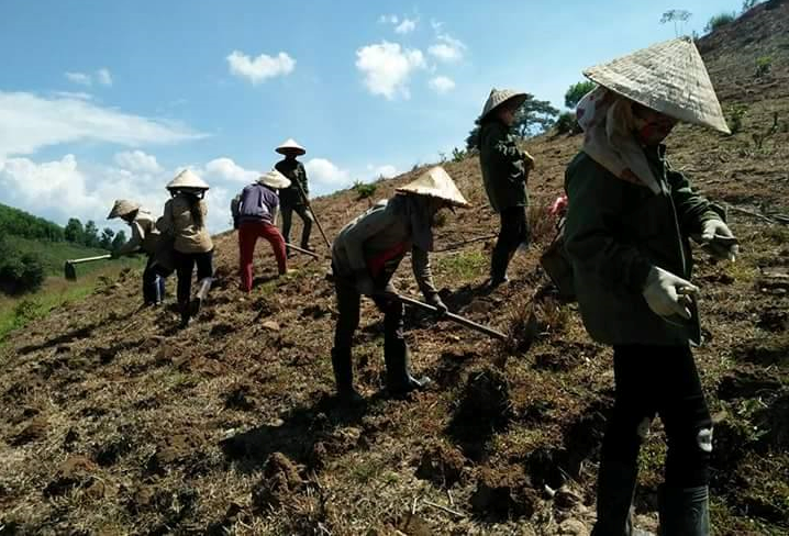 Huyện M’Drắk nằm vào Nhóm 2, gồm 29 huyện thuộc 18 tỉnh được xét bổ sung vào danh sách huyện nghèo giai đoạn 2018-2020.