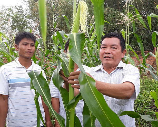 Phát huy vai trò người có uy tín trong vùng đồng bào dân tộc thiểu số ở huyện M’Drăk