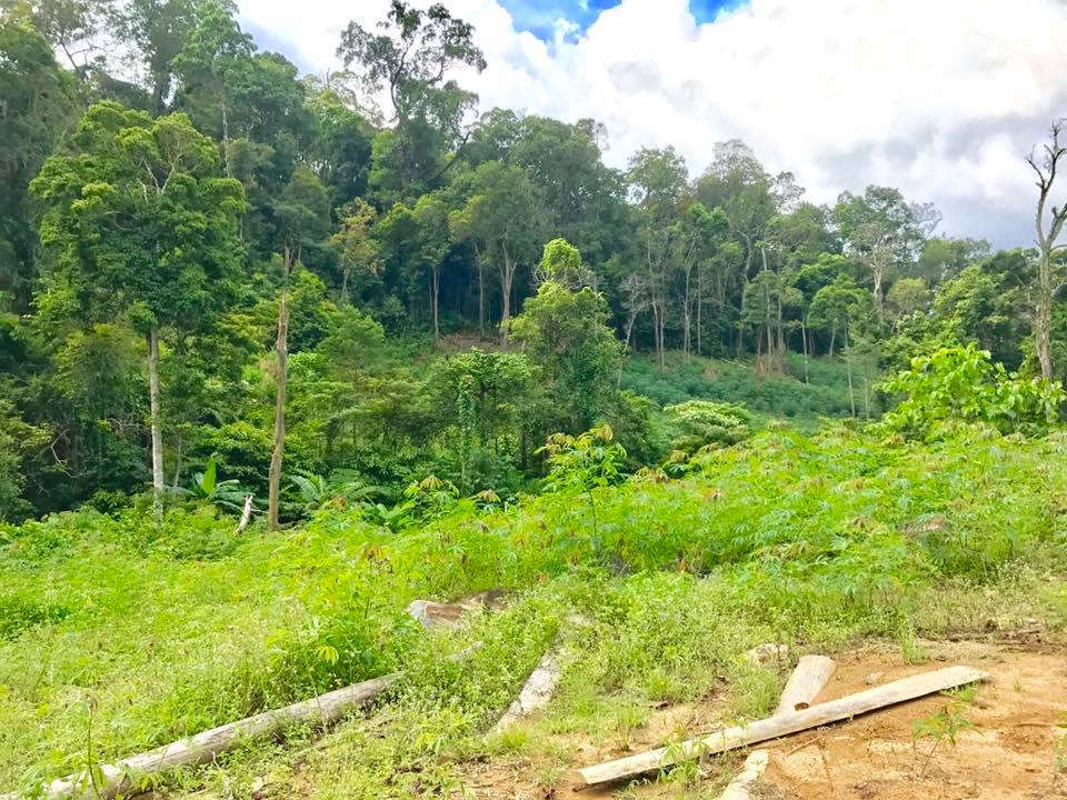 Ban Kinh tế - Xã hội HĐND huyện giám sát công tác quản lý bảo vệ, phát triển rừng; công tác giao đất, giao rừng và cho thuê đất lâm nghiệp tại xã EaMlây