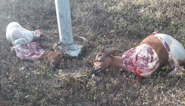 Cảnh giác với các thủ đoạn trộm cắp tài sản