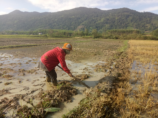 Xã Cư Mta, huyện M'Drắk tập trung sản xuất vụ Đông xuân 2017-2018.