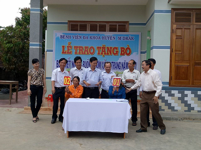 Bệnh viện Đa khoa huyện M'Đrắk trao tặng bò sinh sản cho hộ nghèo