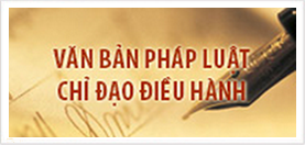 Quy định về việc thực hiện các chính sách hỗ trợ người dân gặp khó khăn do đại dịch COVID-19.