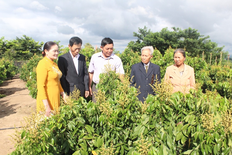 Người cao tuổi huyện M’Drắk   Phát huy vai trò “Tuổi cao gương sáng” trong các phong trào thi đua