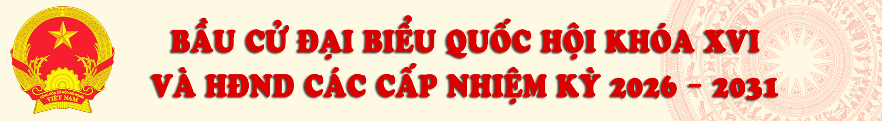 Bau cu Quoc hoi va HDND cac cap